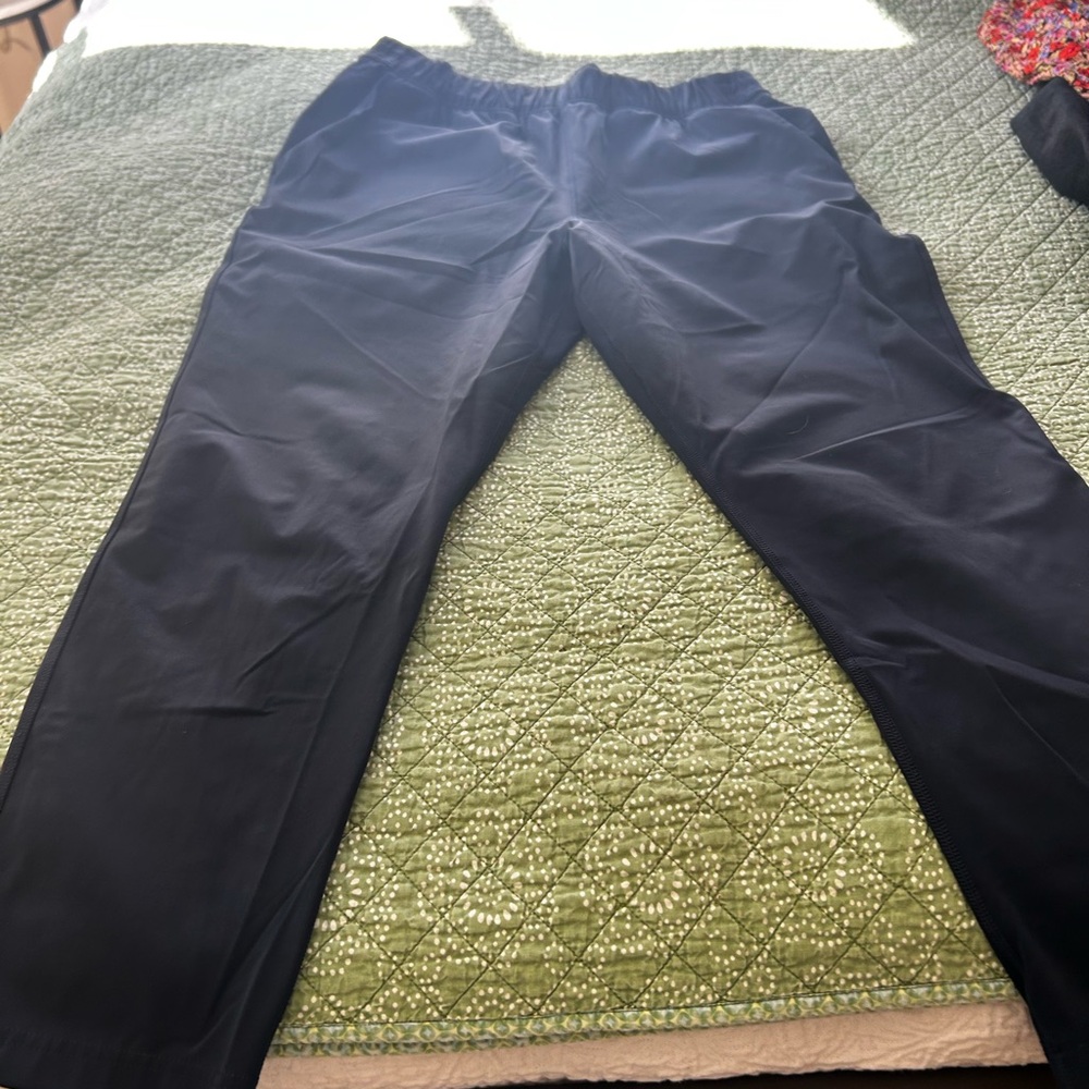 Babaton athleisure pants